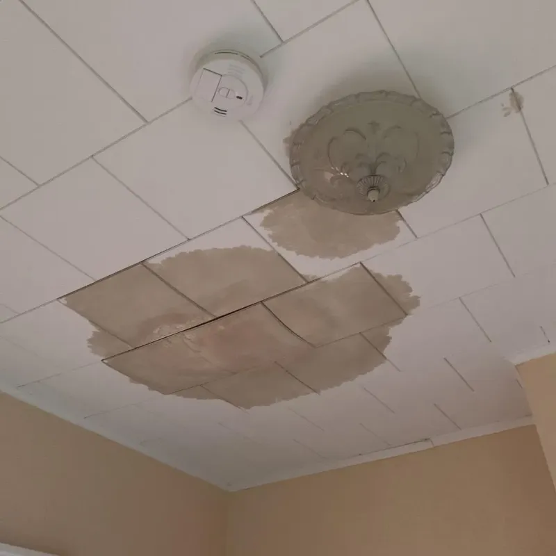 Ceiling Water Damage Repair in Duboistown, PA